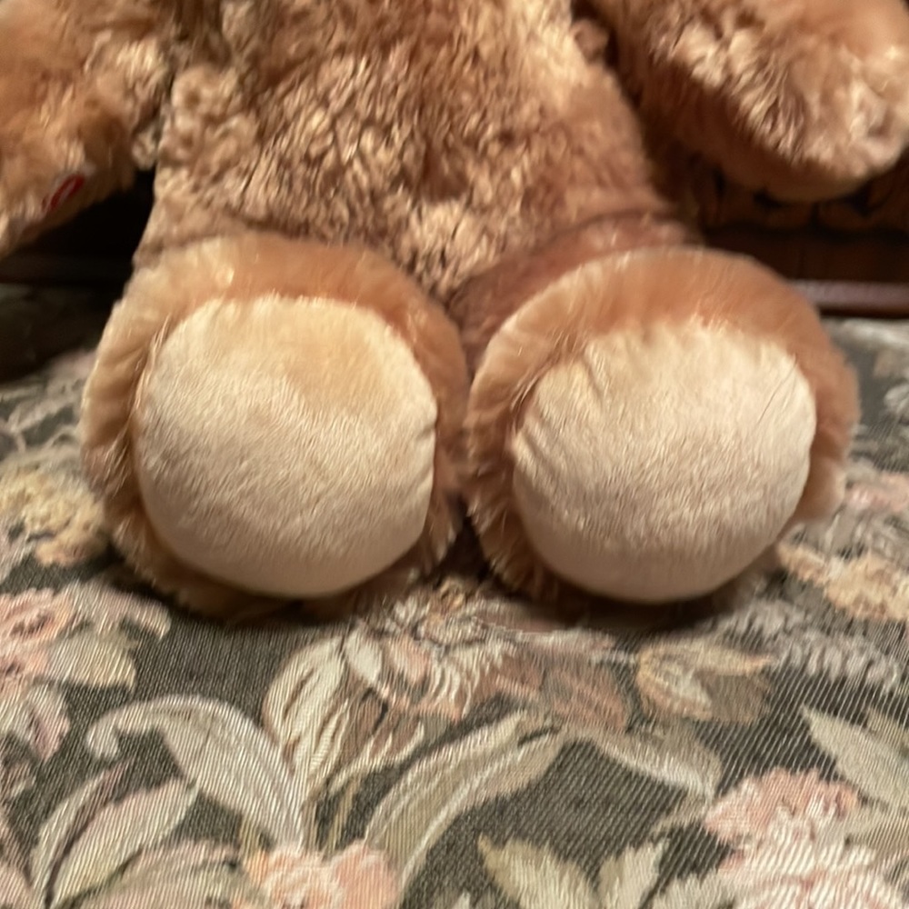 Build-A-Bear - Picture 11 of 11